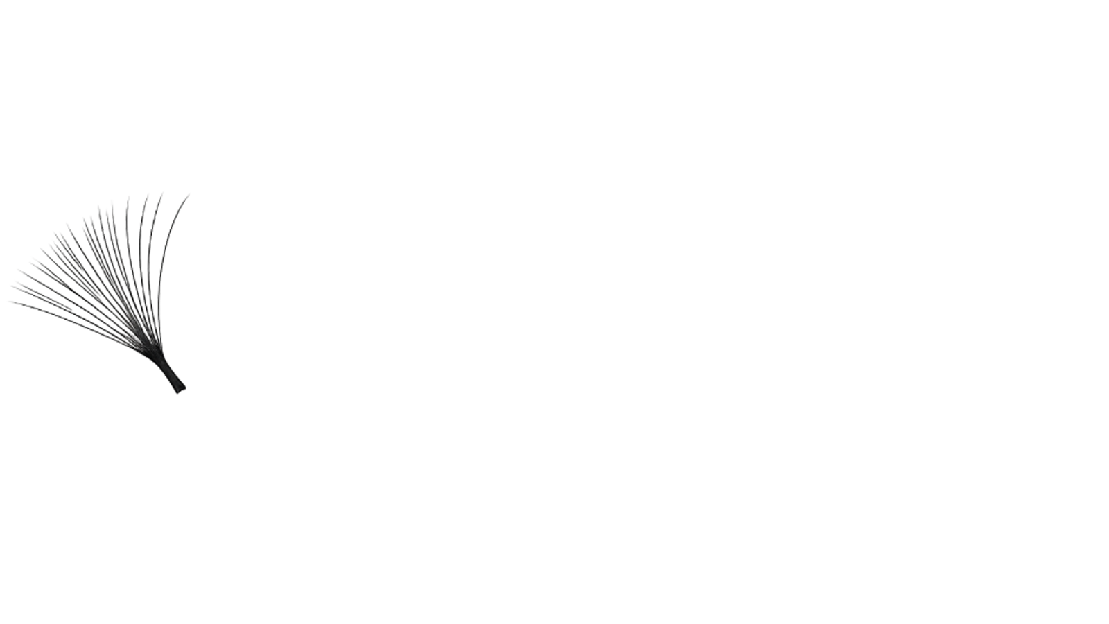 Foundation